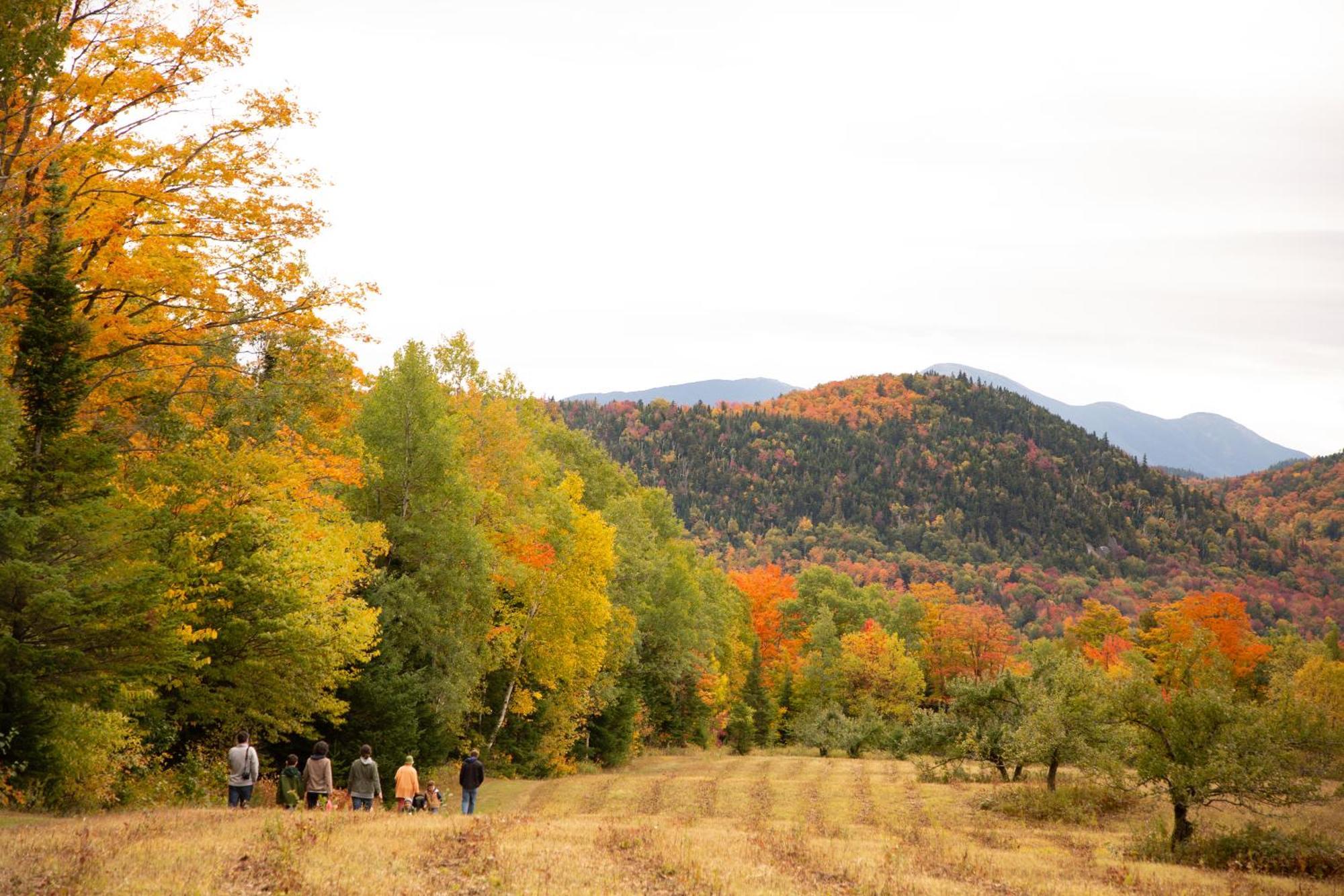 Lake Placid Inn Boutique Hotel ภายนอก รูปภาพ